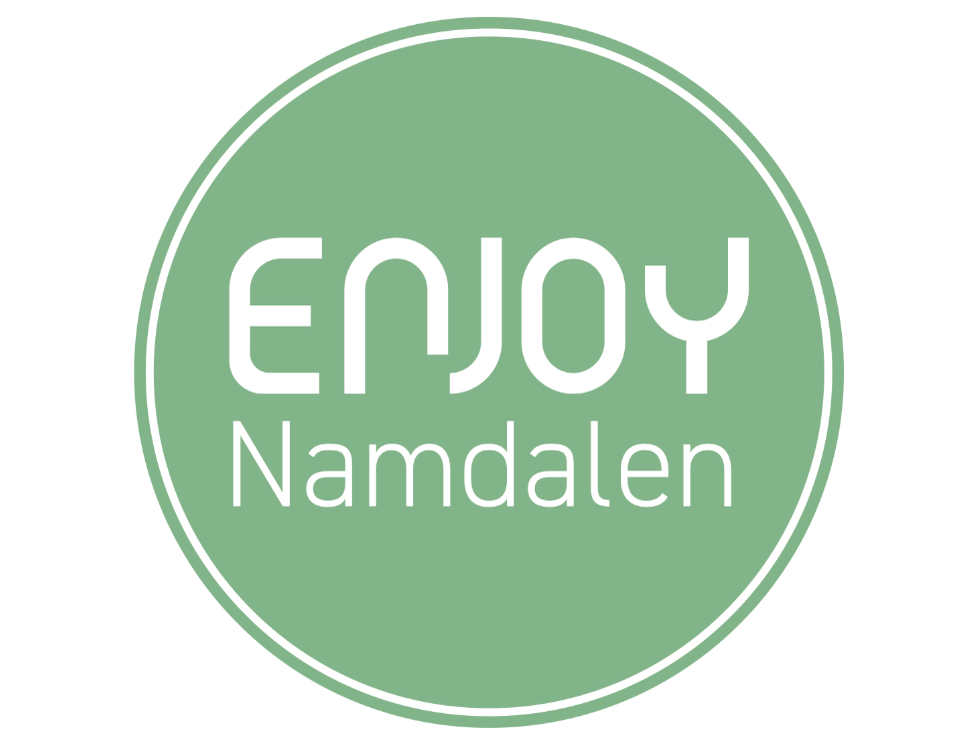 Status fra Nederland - kompetanse i karrierebasen og veien videre